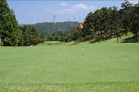 DSC_2753.JPG